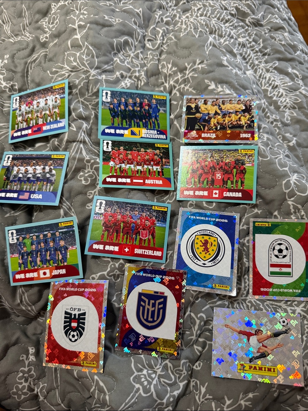 Panini FIFA World Cup Sticker Collection - team n team flag